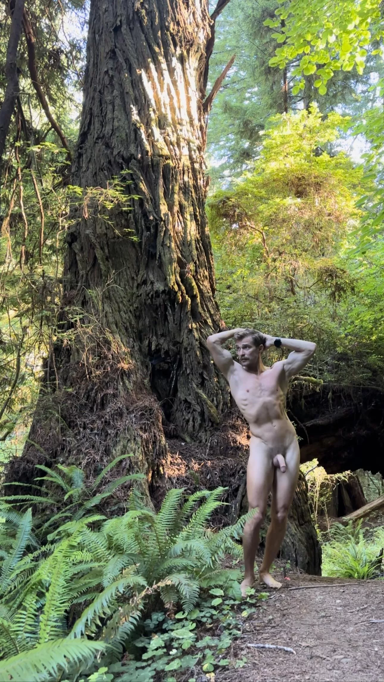 Redwood wood posted by freeintheforest86