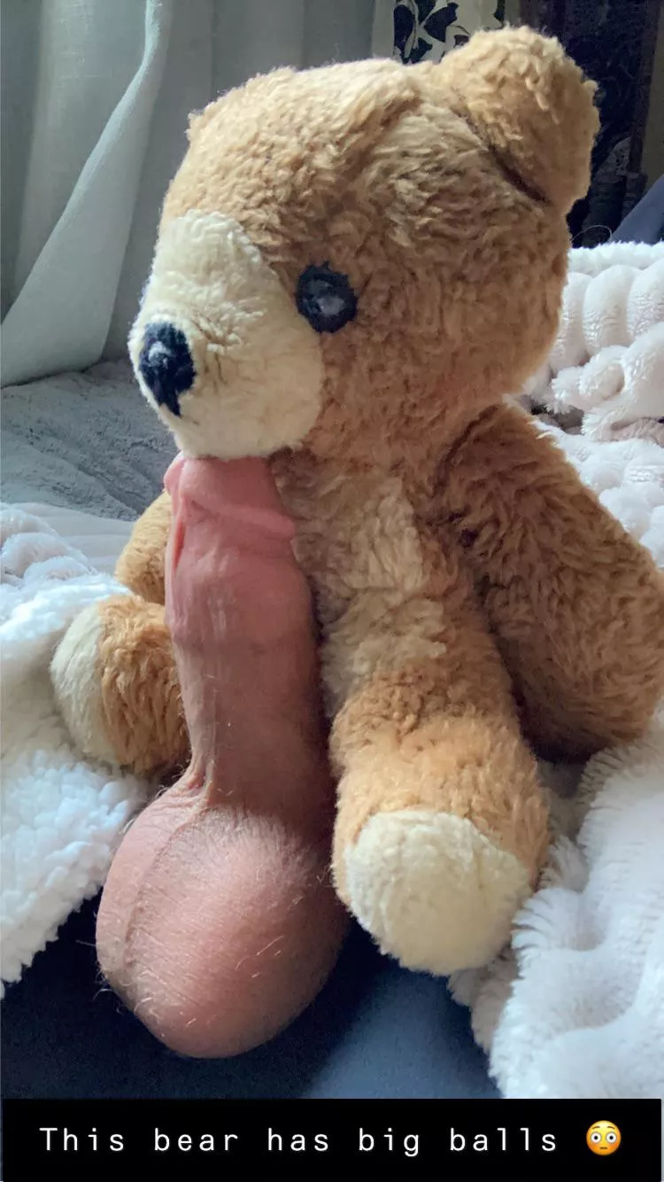 This Bear Has Balls posted by HotTomatillo7572