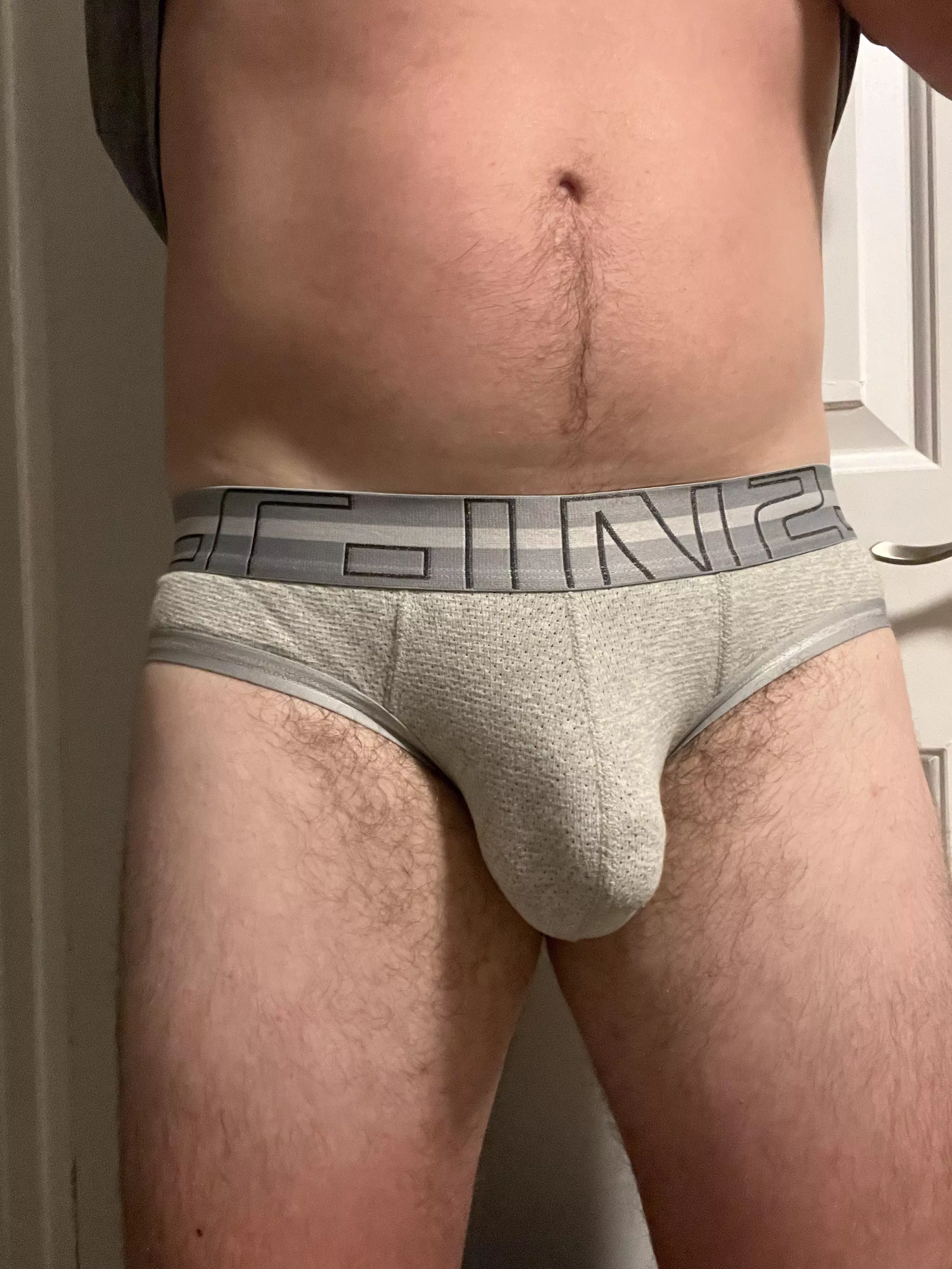 What do you think of my new briefs? posted by Bushyguy67