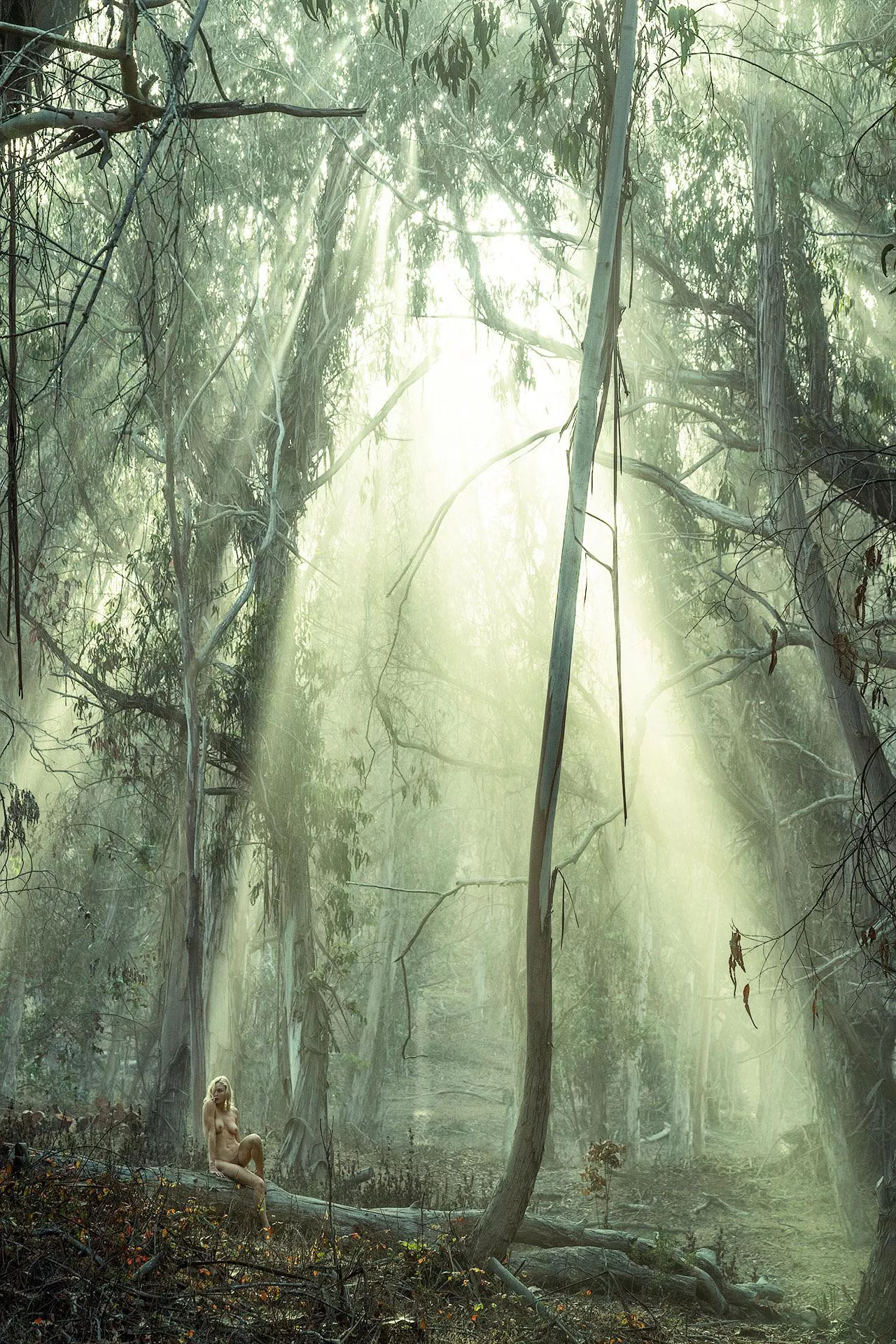 Alone in the forest… posted by bunnydailynews