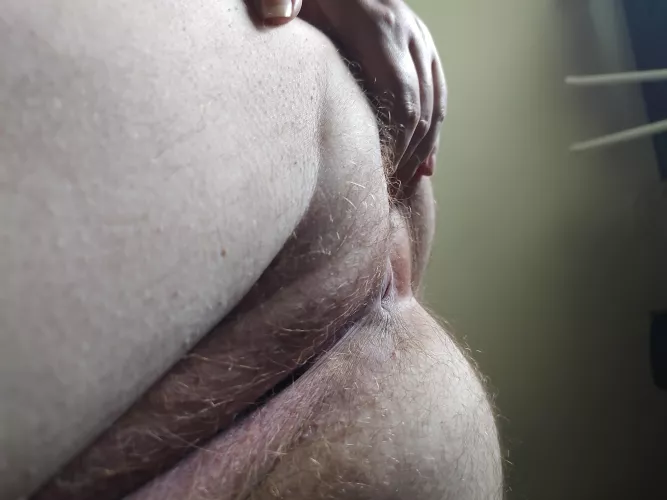 Am I too hairy? 🥺 [H] by gobblingoddess