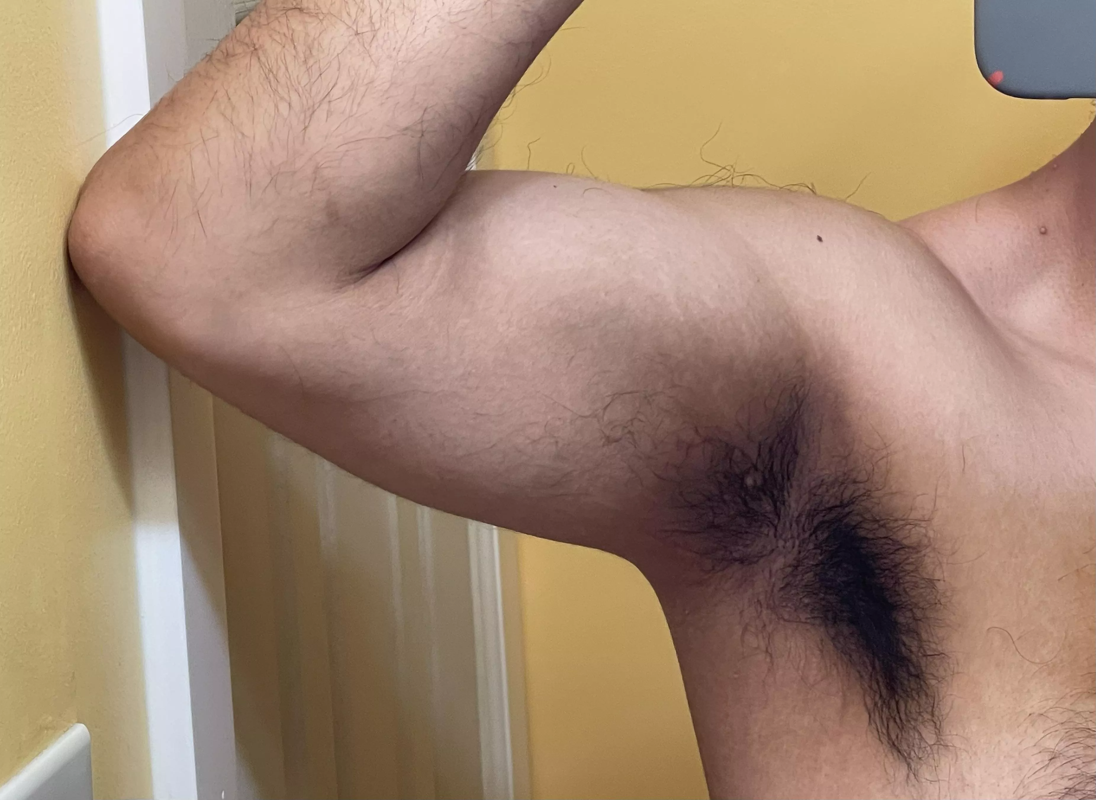 Come take a sniff posted by maskedtacobite