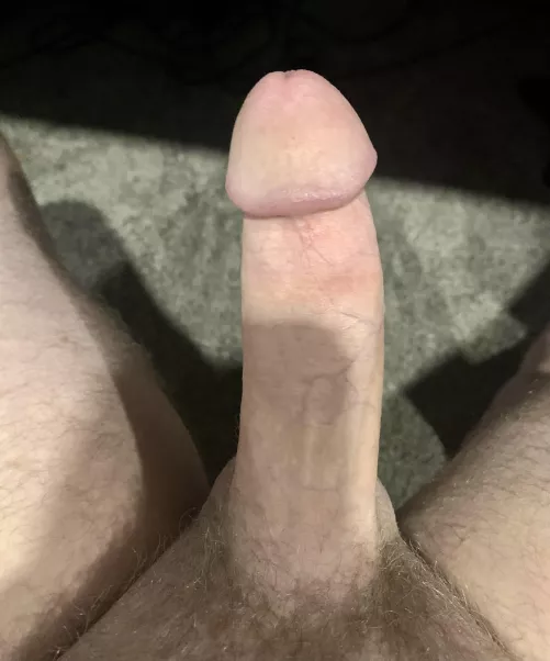 Company is enjoyable [36] by missionback5050