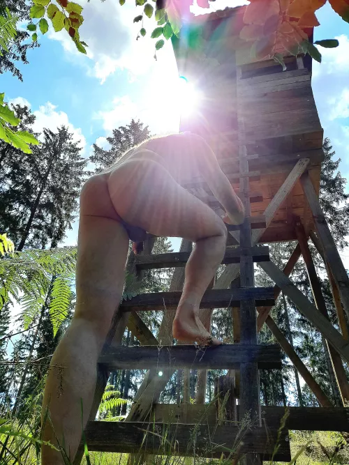 enjoying the woods by WillingnessNo8306