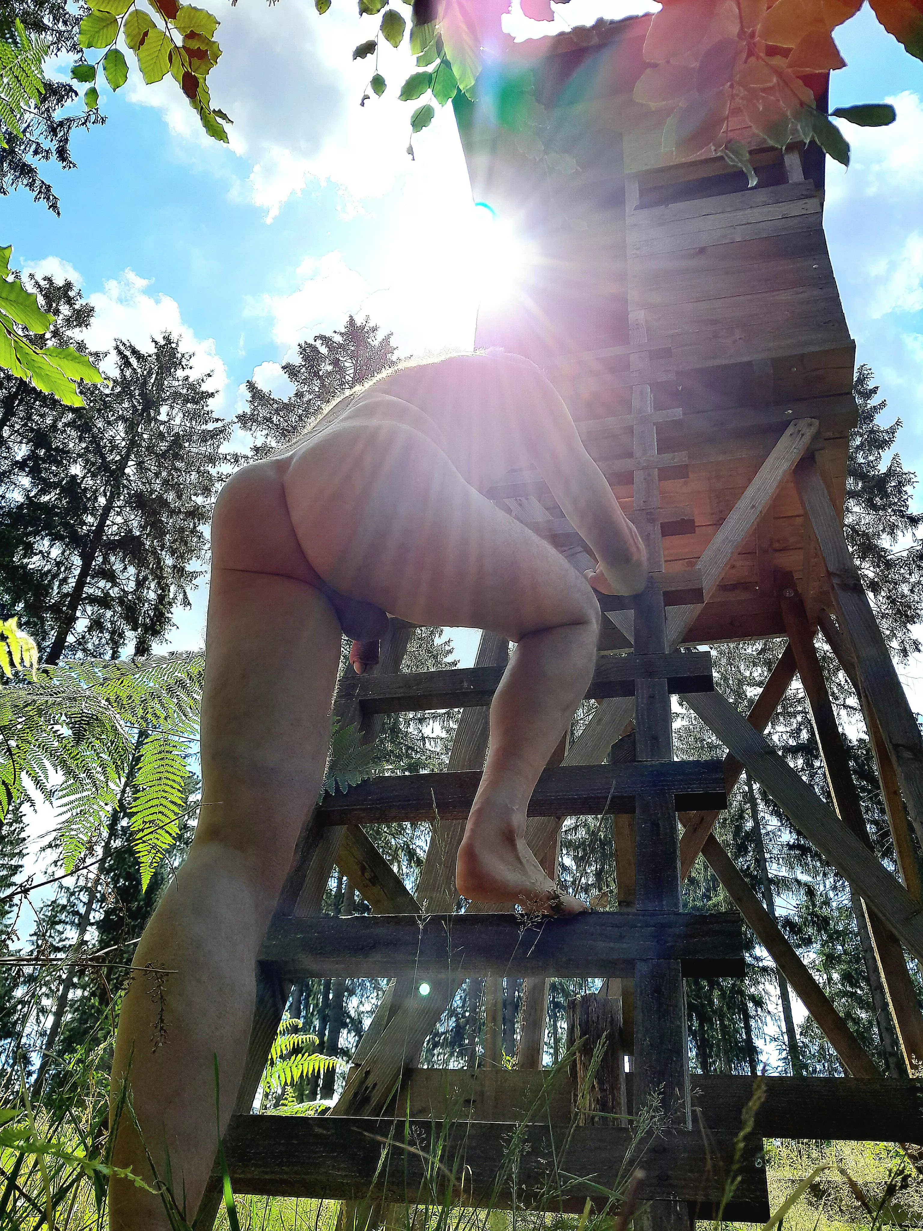 enjoying the woods posted by WillingnessNo8306