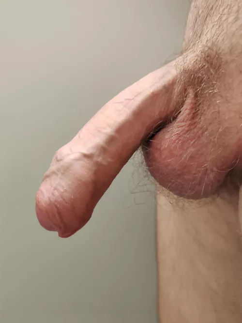 It's a daily occurrence at this point by Vast-Command-2424