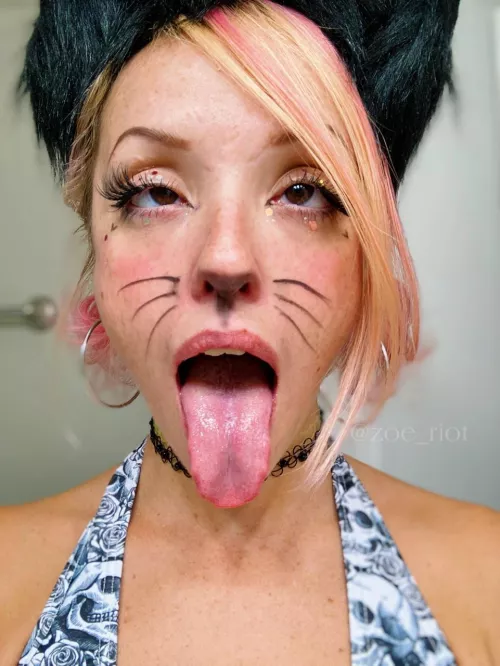 Milk drunk kitten by Zoe_Riot