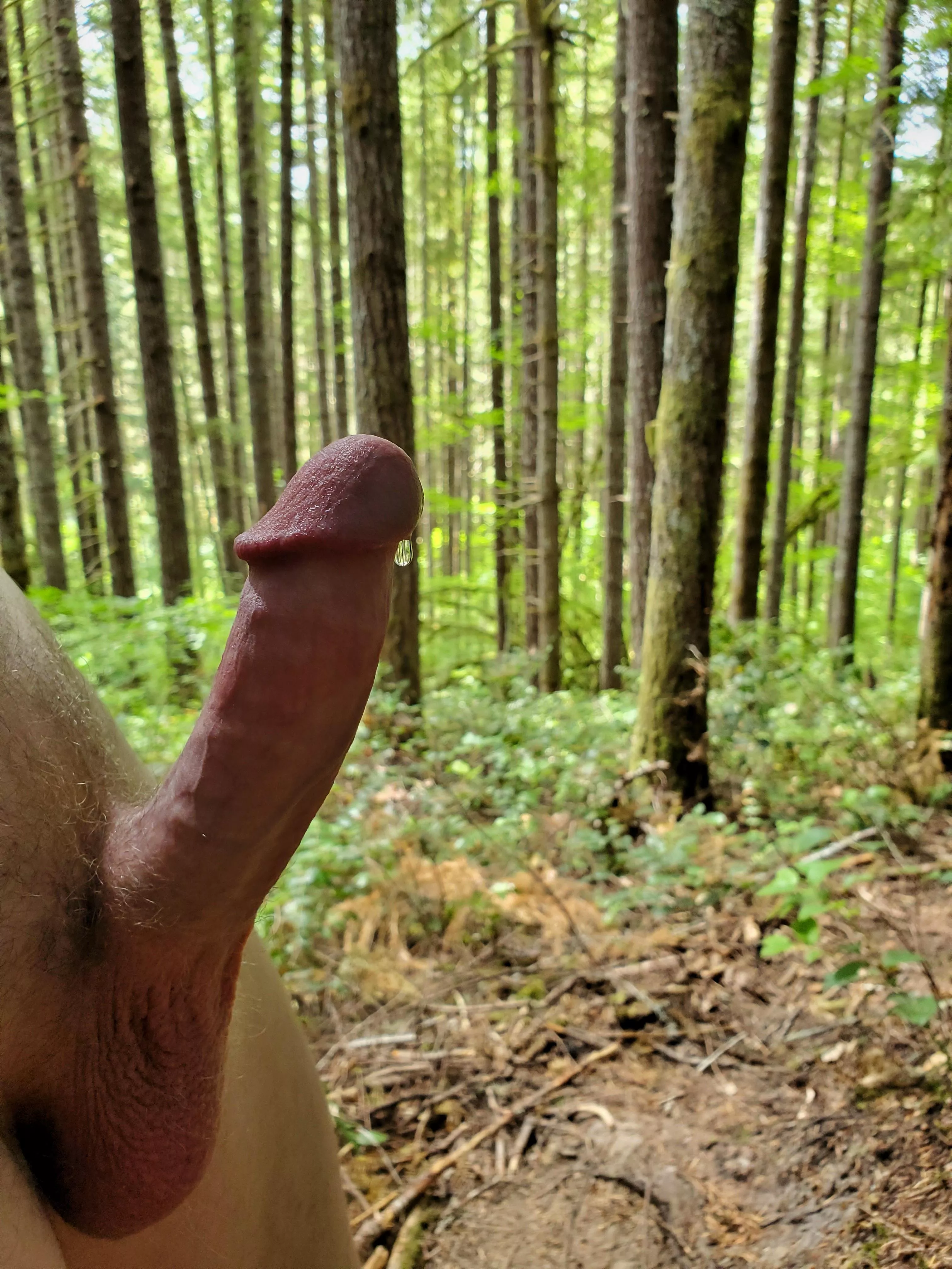 Trying to beat back the fire danger in the woods with a little of my own moisture posted by NetflixQ4