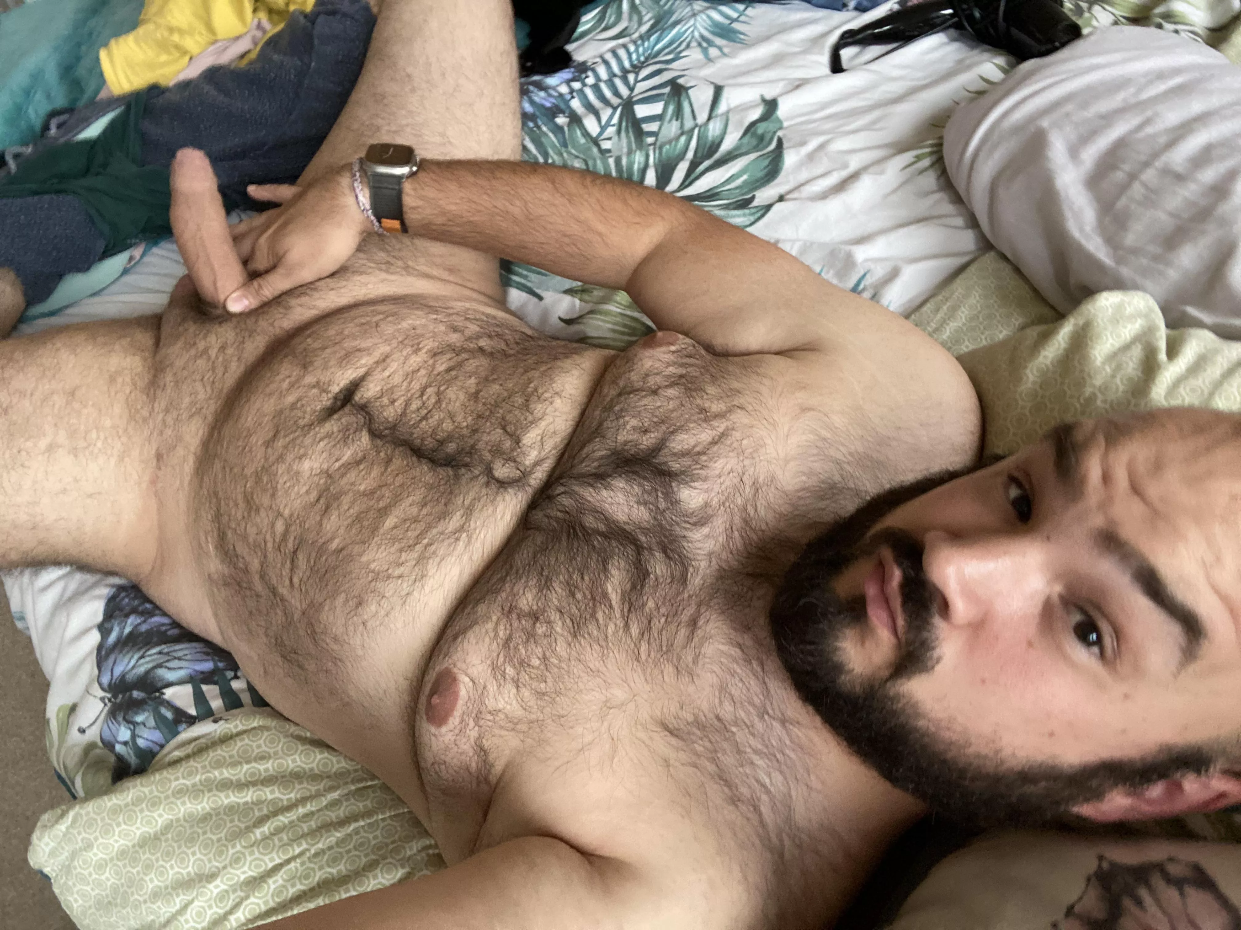 (37) You can start by running your fingers through my chest hair, then what? posted by Occassional-Otter