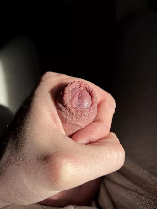 First drop by LadyNboy