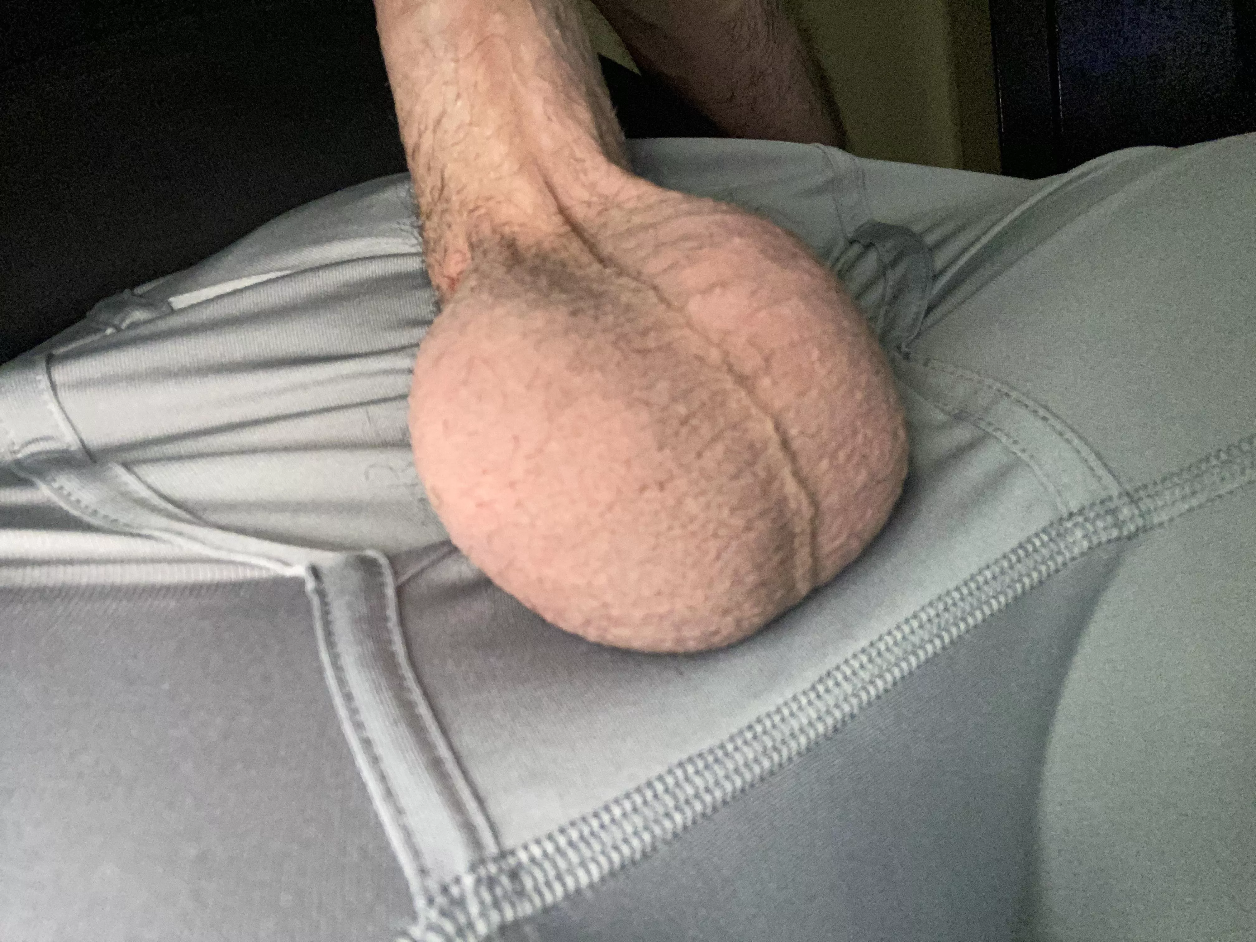 Just showered. Needed to let them out 😉 posted by SectorOk1737