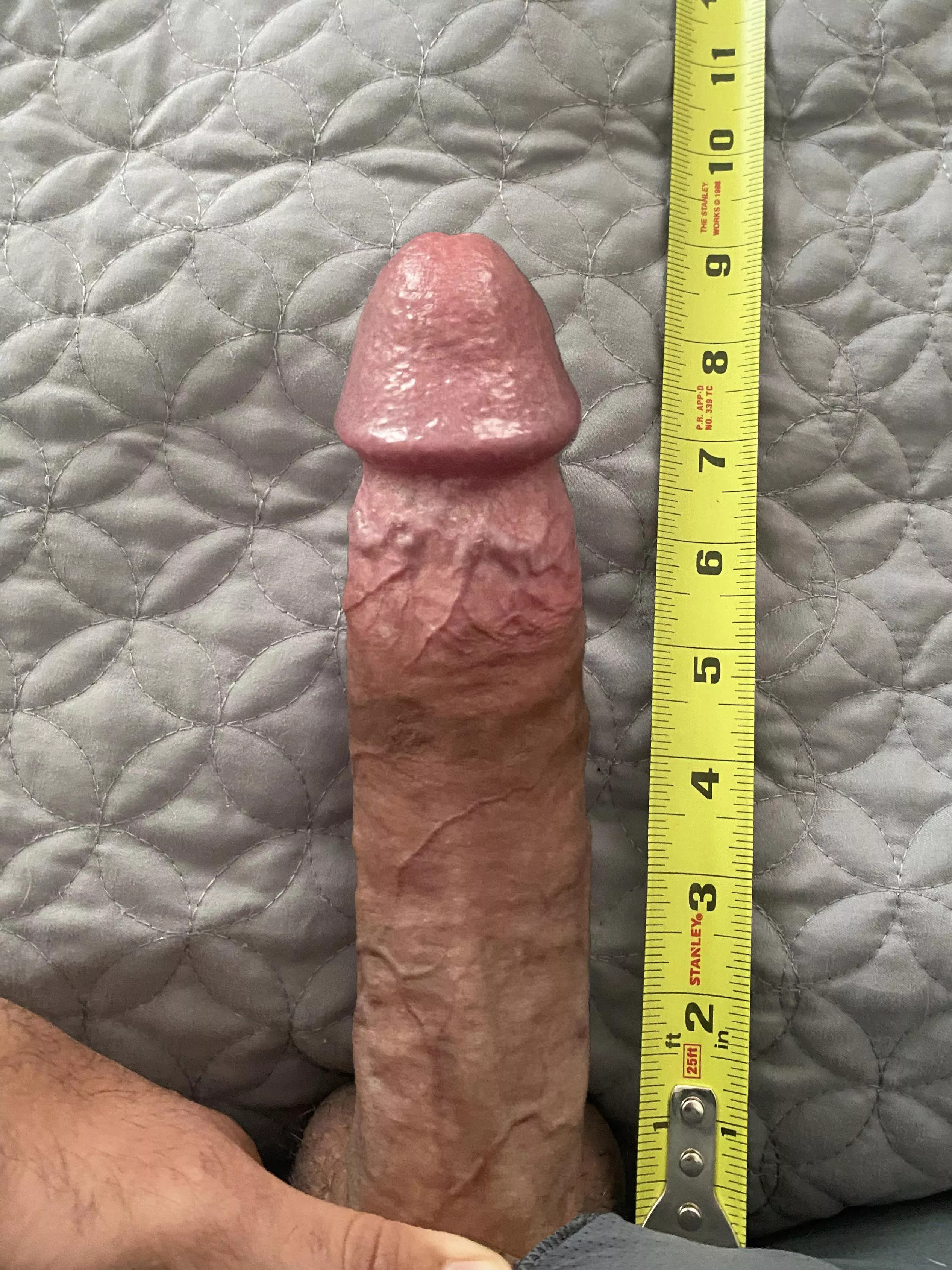 Size Matters posted by TheCumHose69