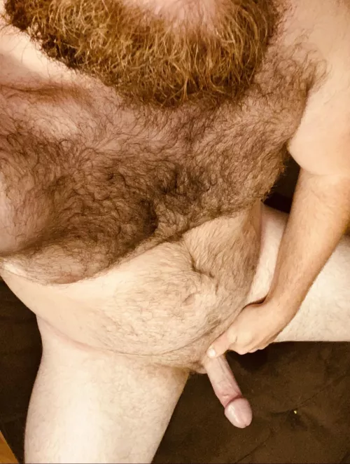 Anybody into hairy men with a average cock? by average_shaft8008