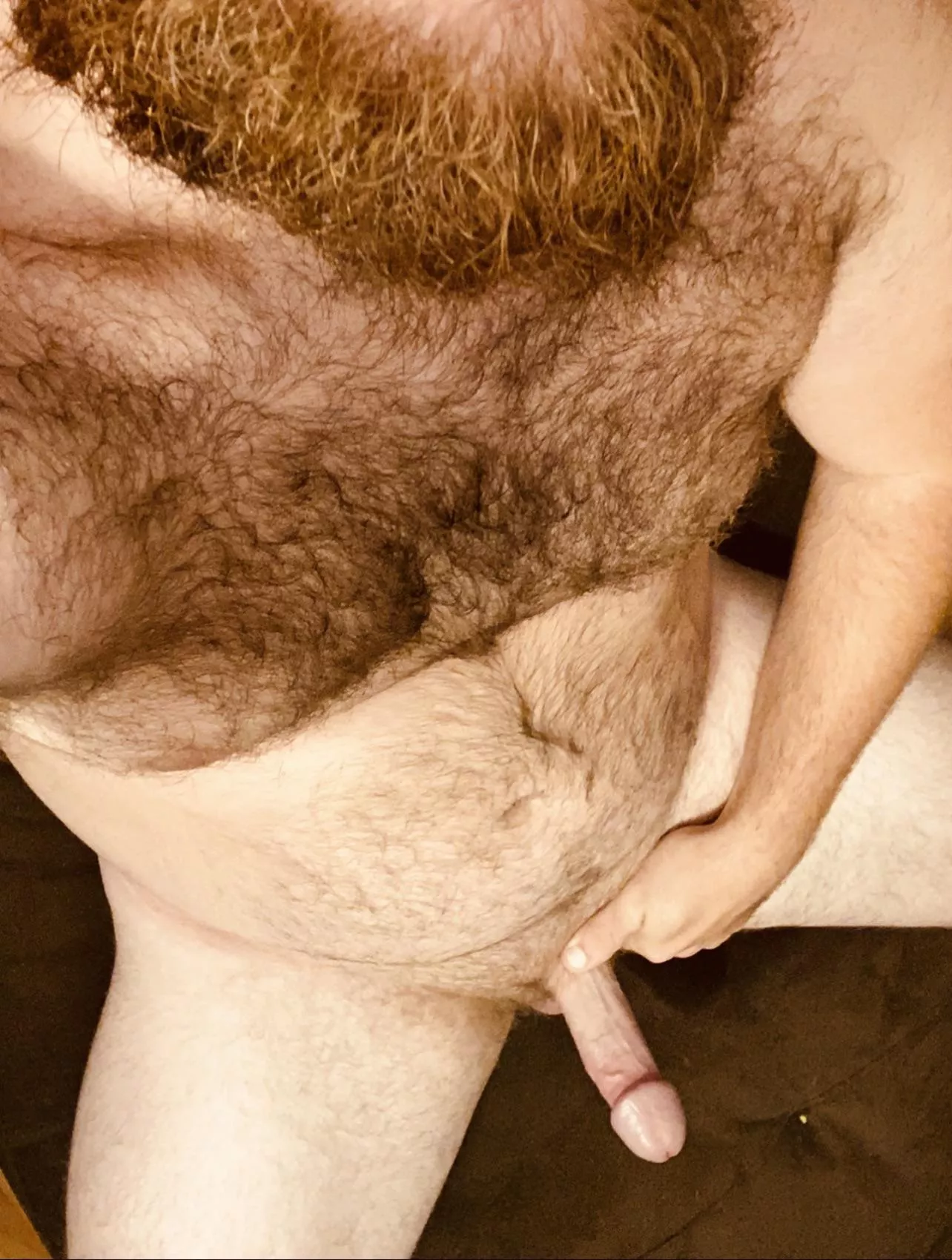 Anybody into hairy men with a average cock? posted by average_shaft8008