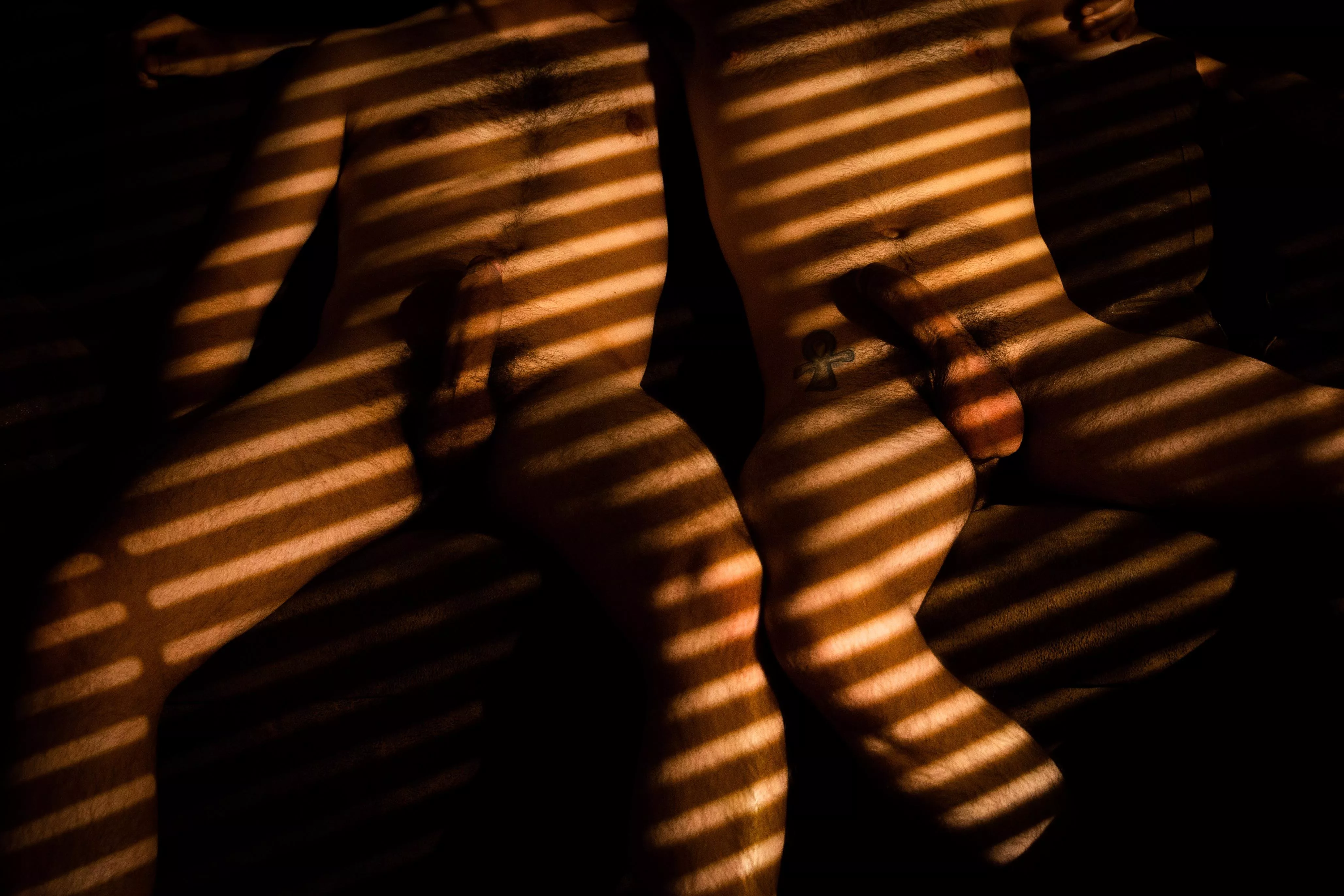 Dicks and stripes posted by thermodicknamique