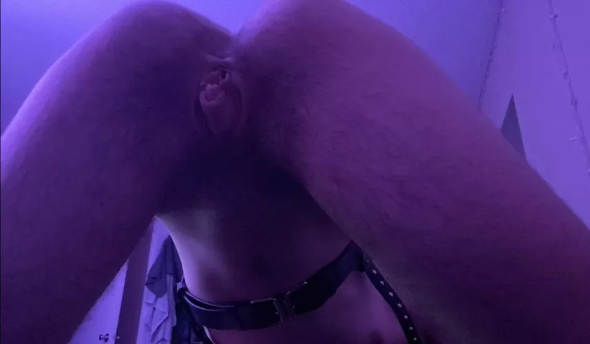 Eat me out like this? by Peersiankitty