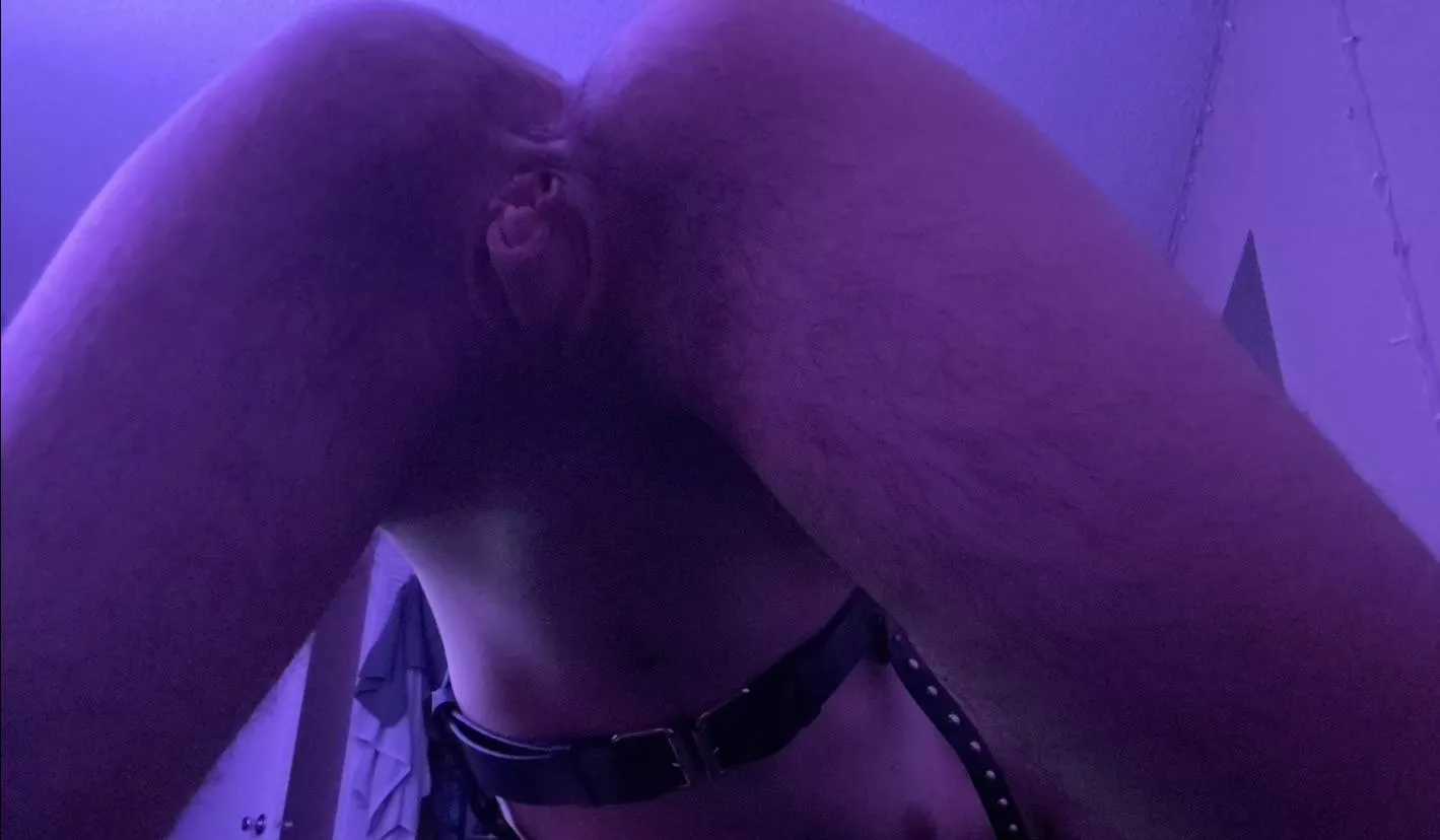 Eat me out like this? posted by Peersiankitty