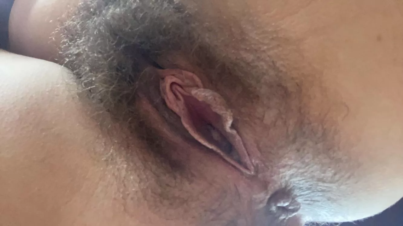 my hairy pussy and tight asshole posted by shininglight69