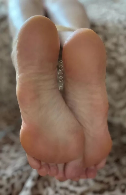 My sexy soles own you by museosole