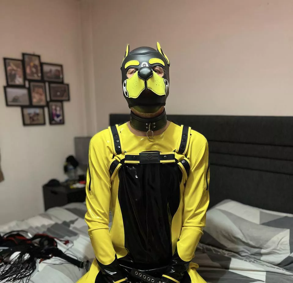 Rubber pupper posted by Billywillster
