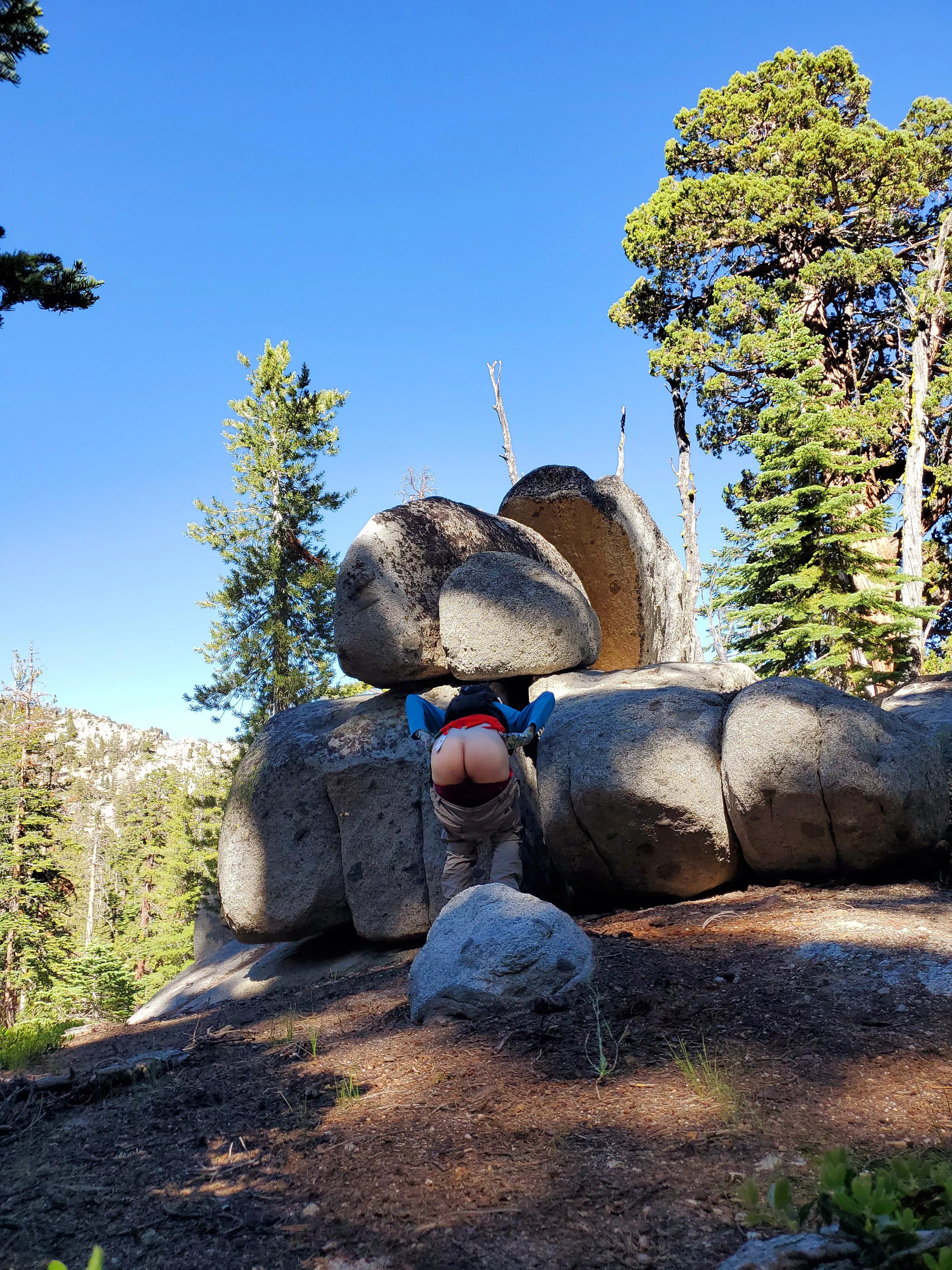 Them: Such majestic views! Me: posted by Furious_Marmot