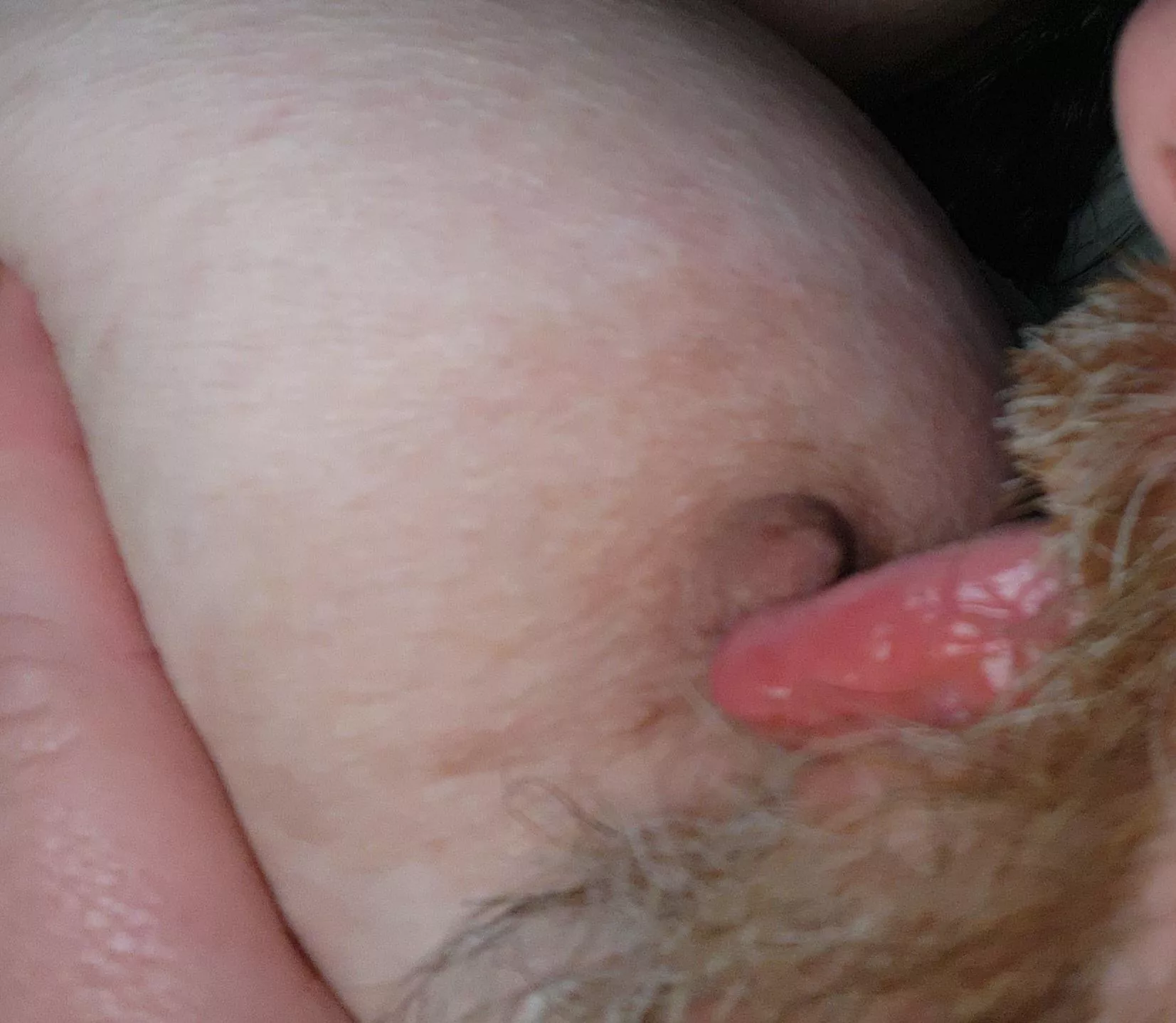 A quick taste of heaven posted by wholelottajiggle