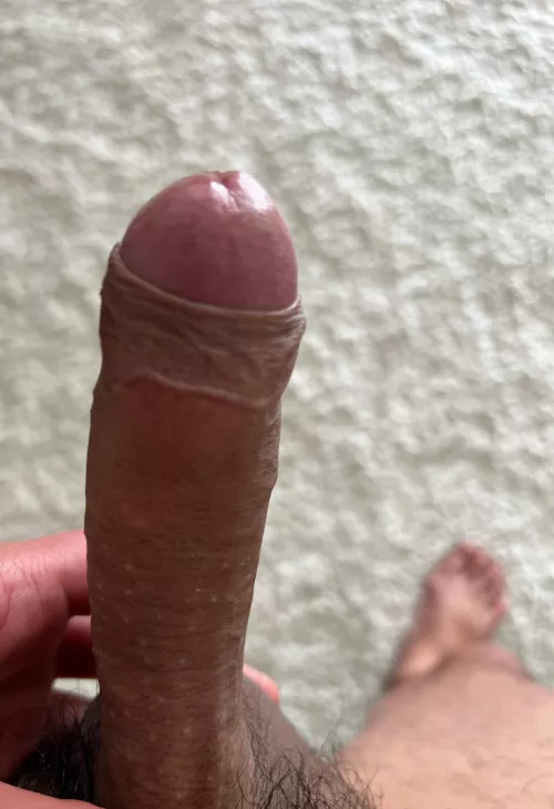 Afternoon wood by cmonkey088