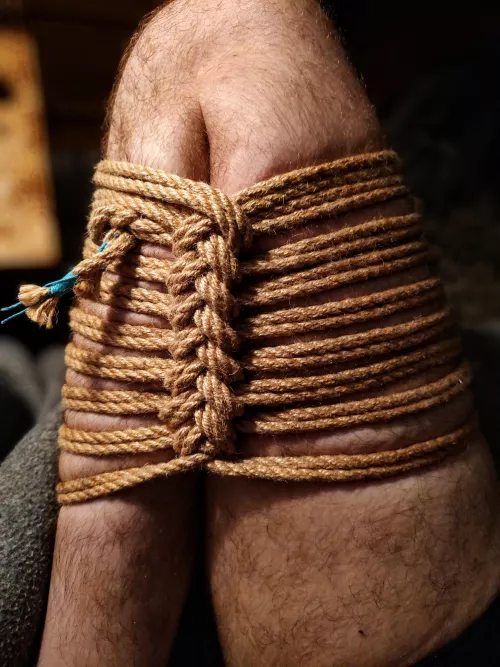 Another day, another futomomo variation by GroovyRaven92