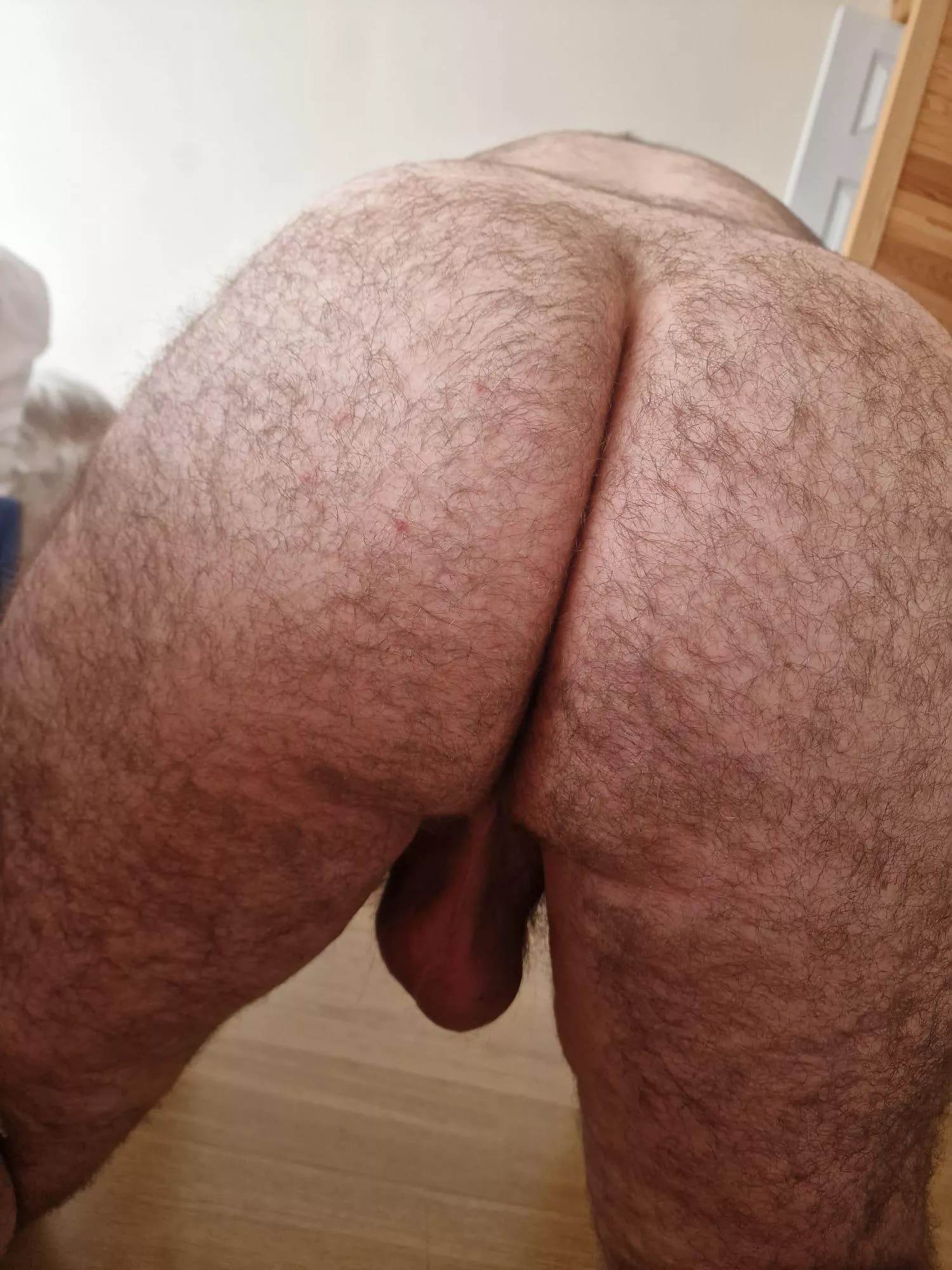 Beary dad 👀 for a seat… posted by ForestBear2023