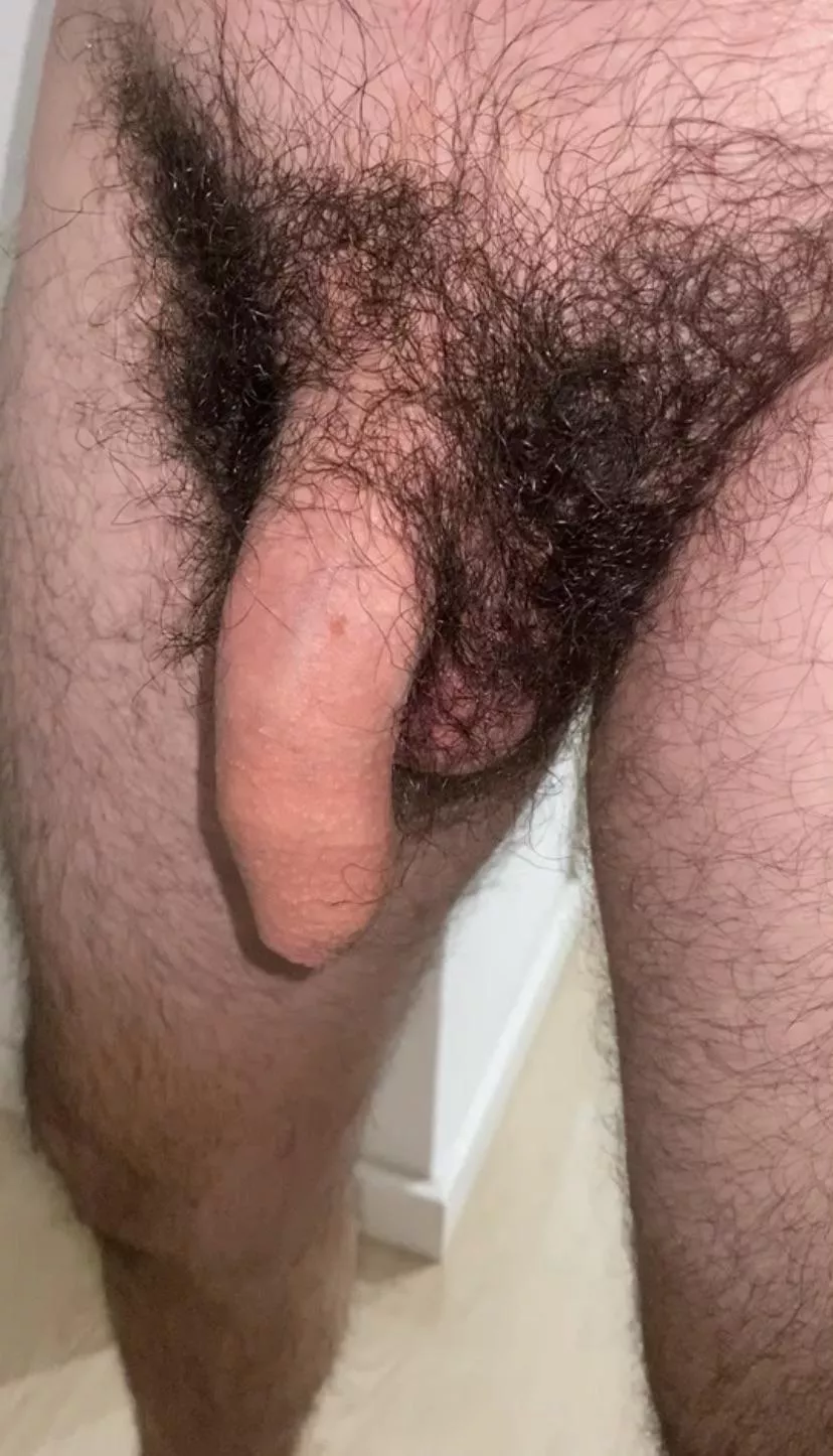 Do you think I should trim a bit or maybe shave? posted by anomjon90
