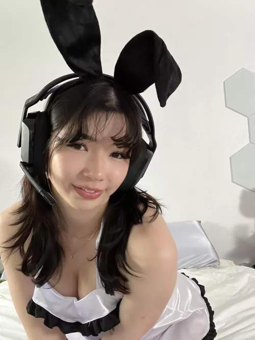 Emotional support bunny by violetkiriko