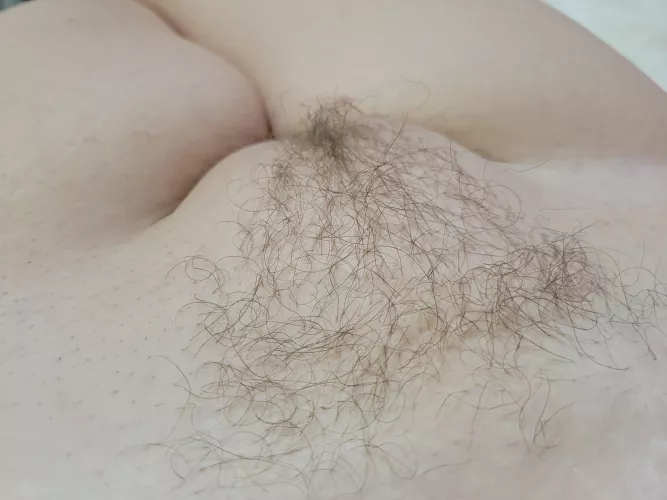 Hairy little triangle! by sarahsaurusrexxx