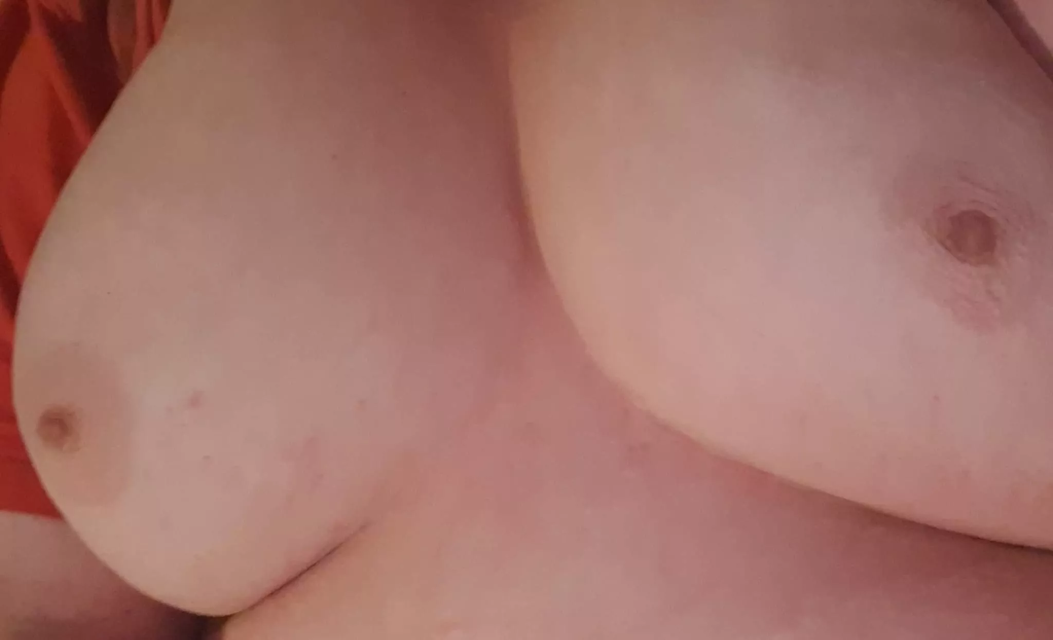How can I be a man with tits like these? posted by Ella_Gurl