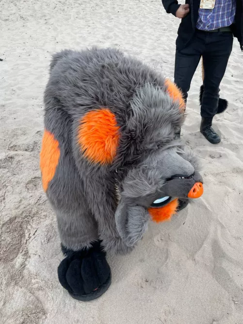 I think something went wrong.... by FullForceUral