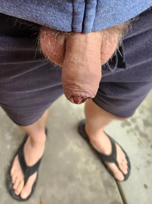 It's July and a balmy 11°C (52°F)! After all the heat lately, I'll take it! by hoodedOneEye