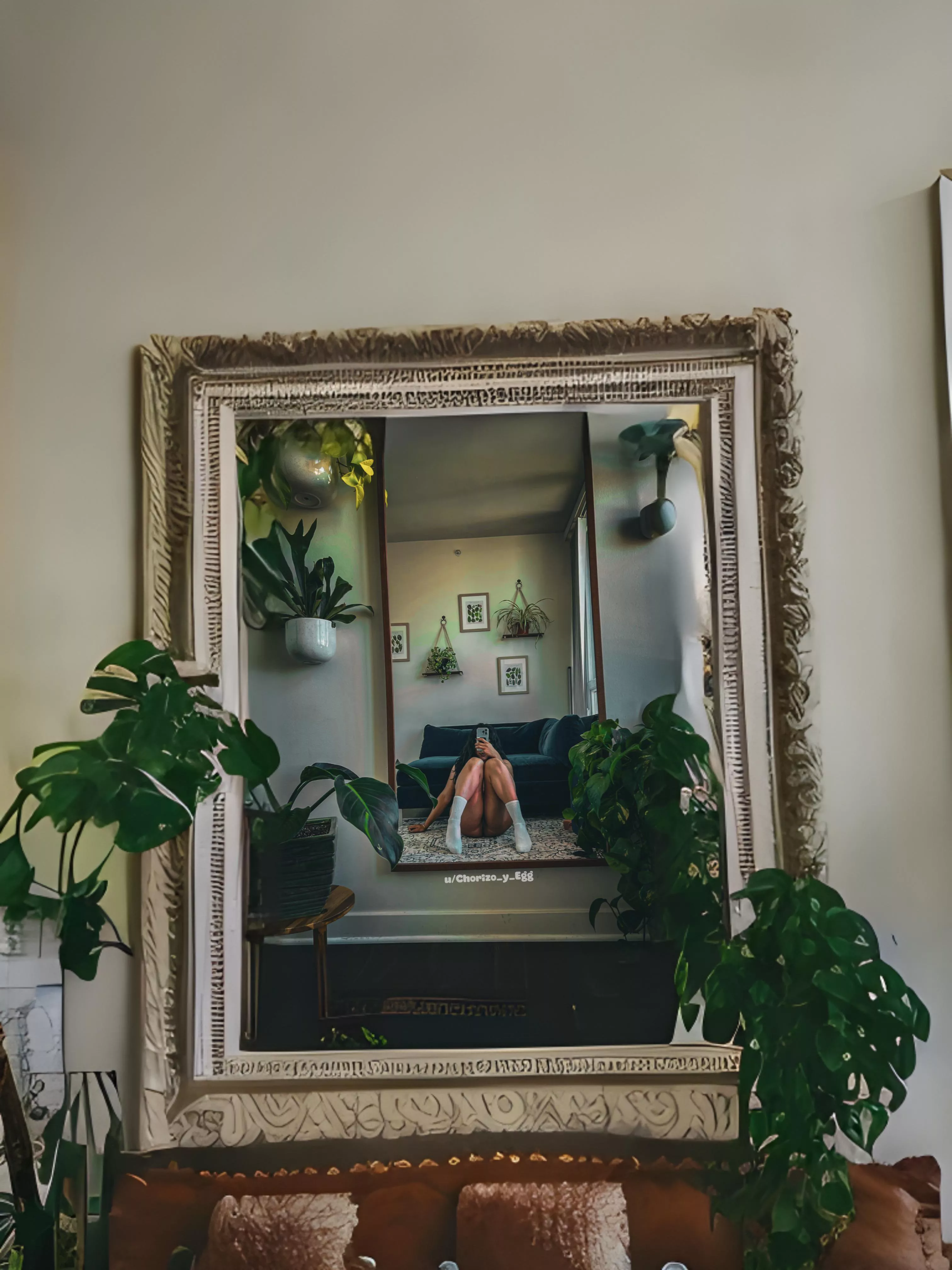 Let’s take a trip 🍃 posted by Chorizo_y_Egg