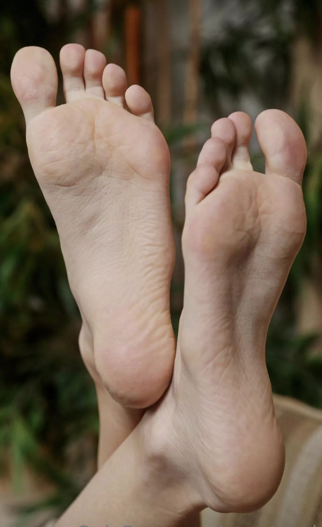 my feet want to feel you posted by sonicgangster