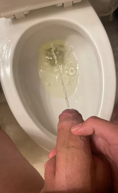 Pissing by Consistent-Ad-3256