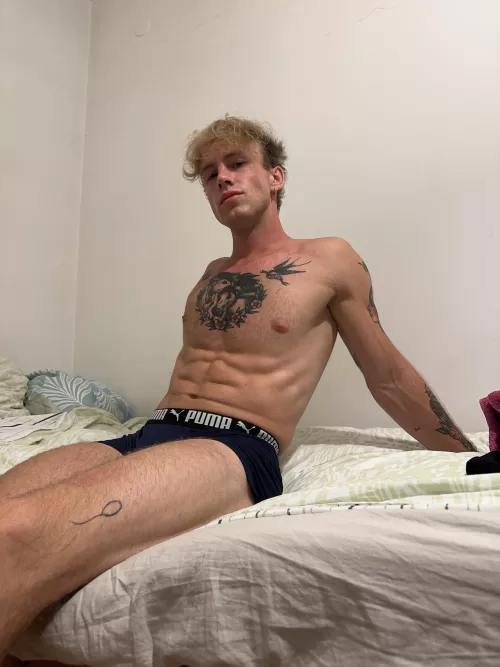 wanna be my cuddle buddy? by haael12