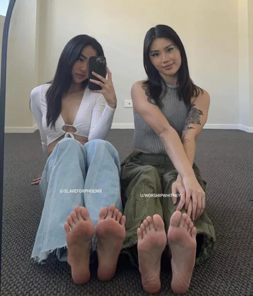 Do you mind having 4 feet in your face? by worshipwhitney