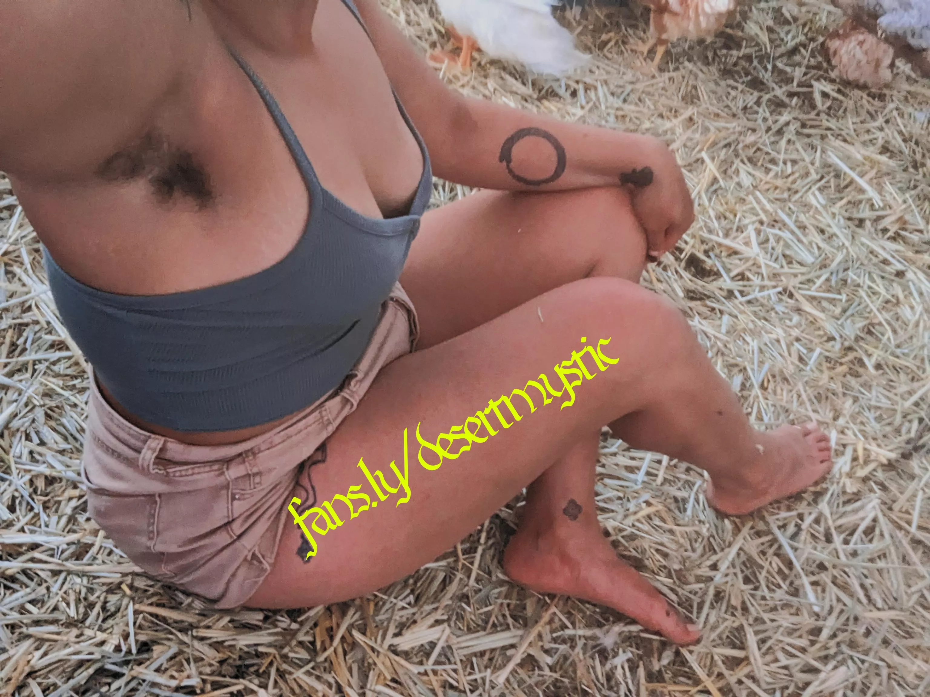 Hanging out with my chickens 🐔 posted by desertmystic1