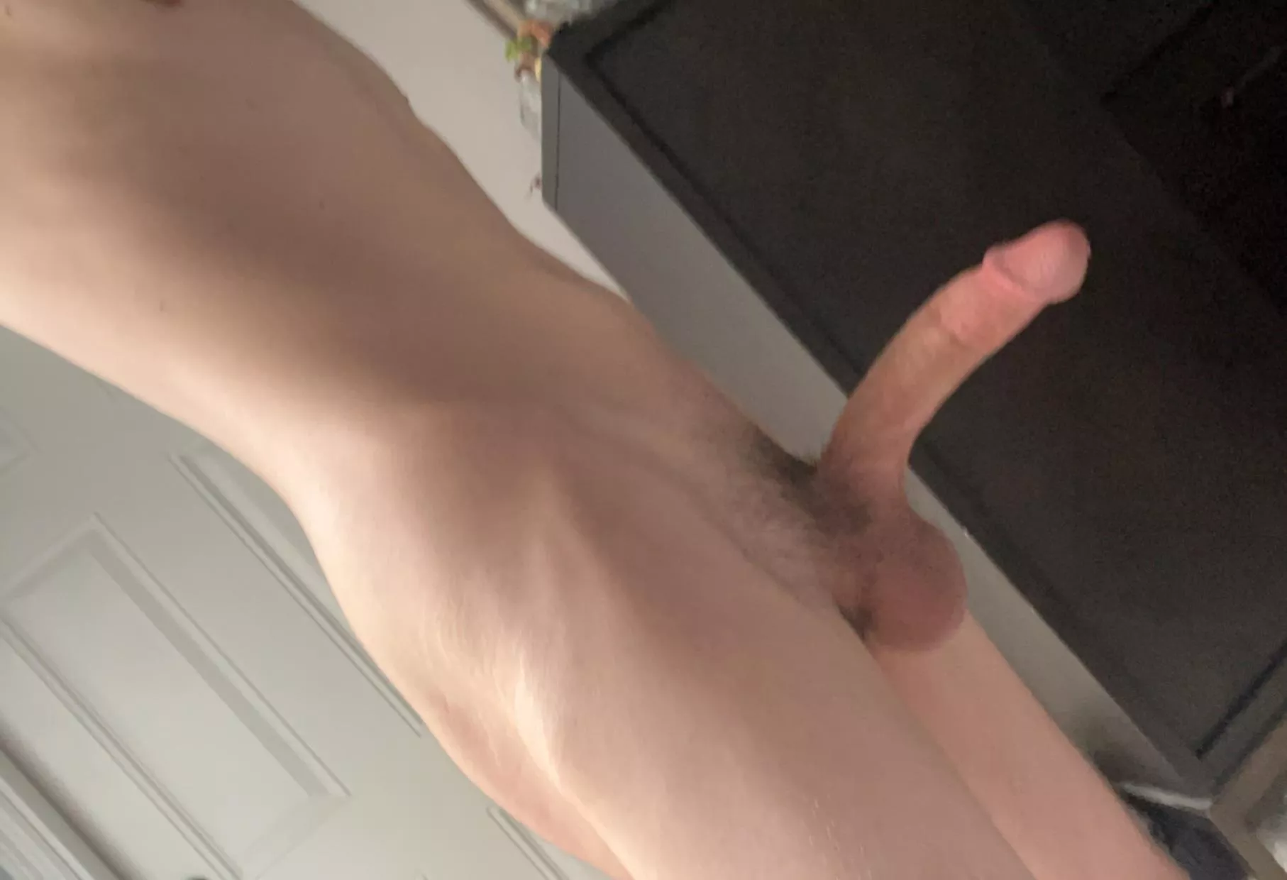 How tasty does it look? posted by HorseyBo1