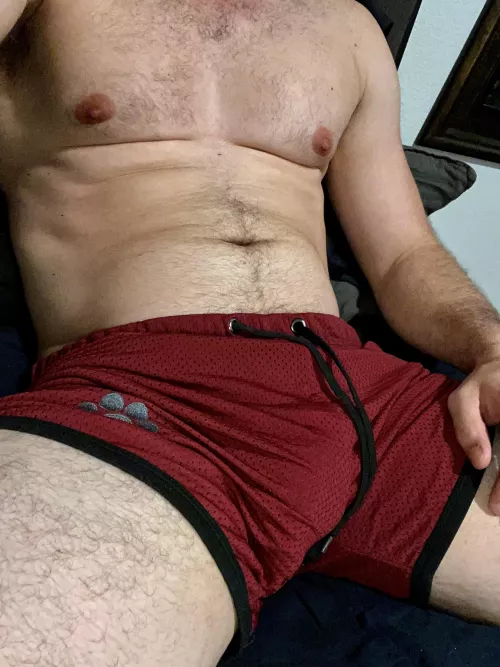 The shorts are almost doing it on purpose. by LongLefty_77