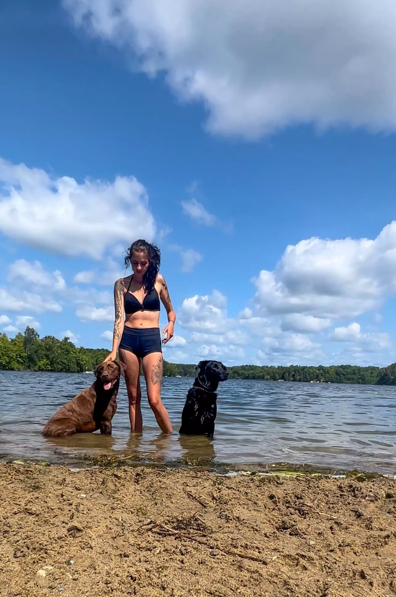 Beach day with the dogs posted by brookemarie522