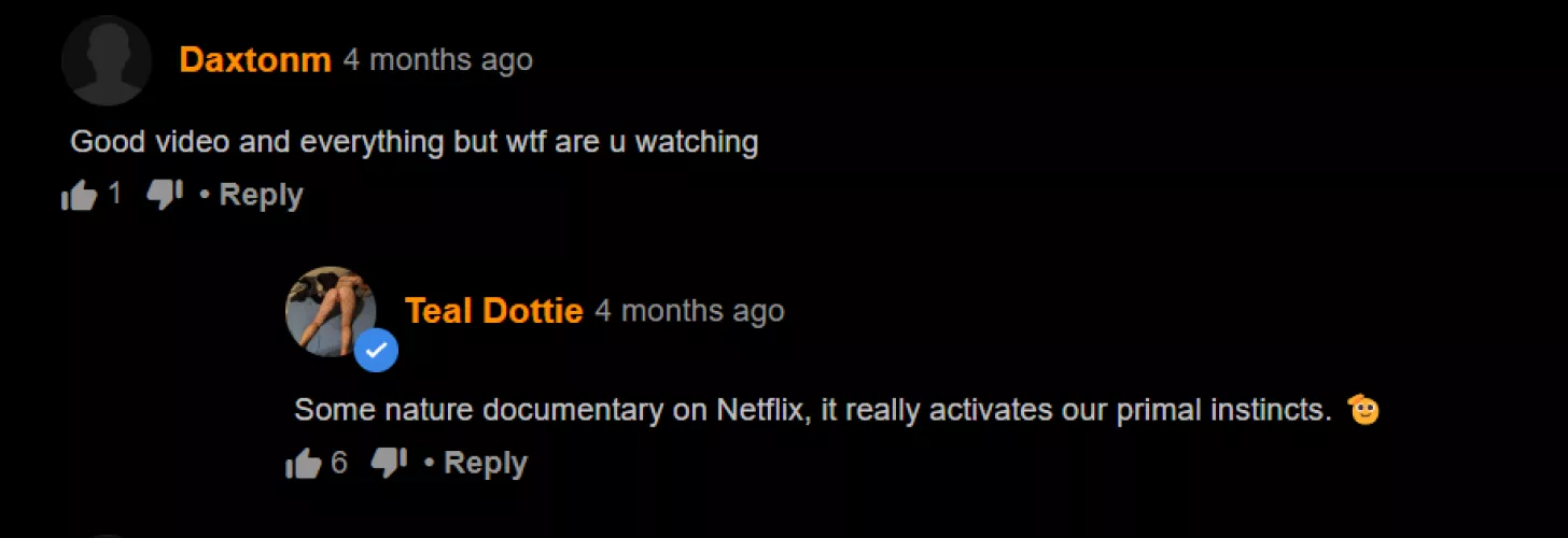 birds of paradise by Can_I_Turn_on_AC