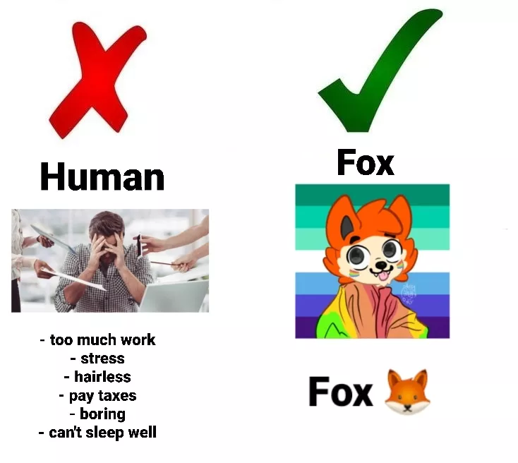 Foxes are just better 🦊~ posted by Spanish_guy_learning