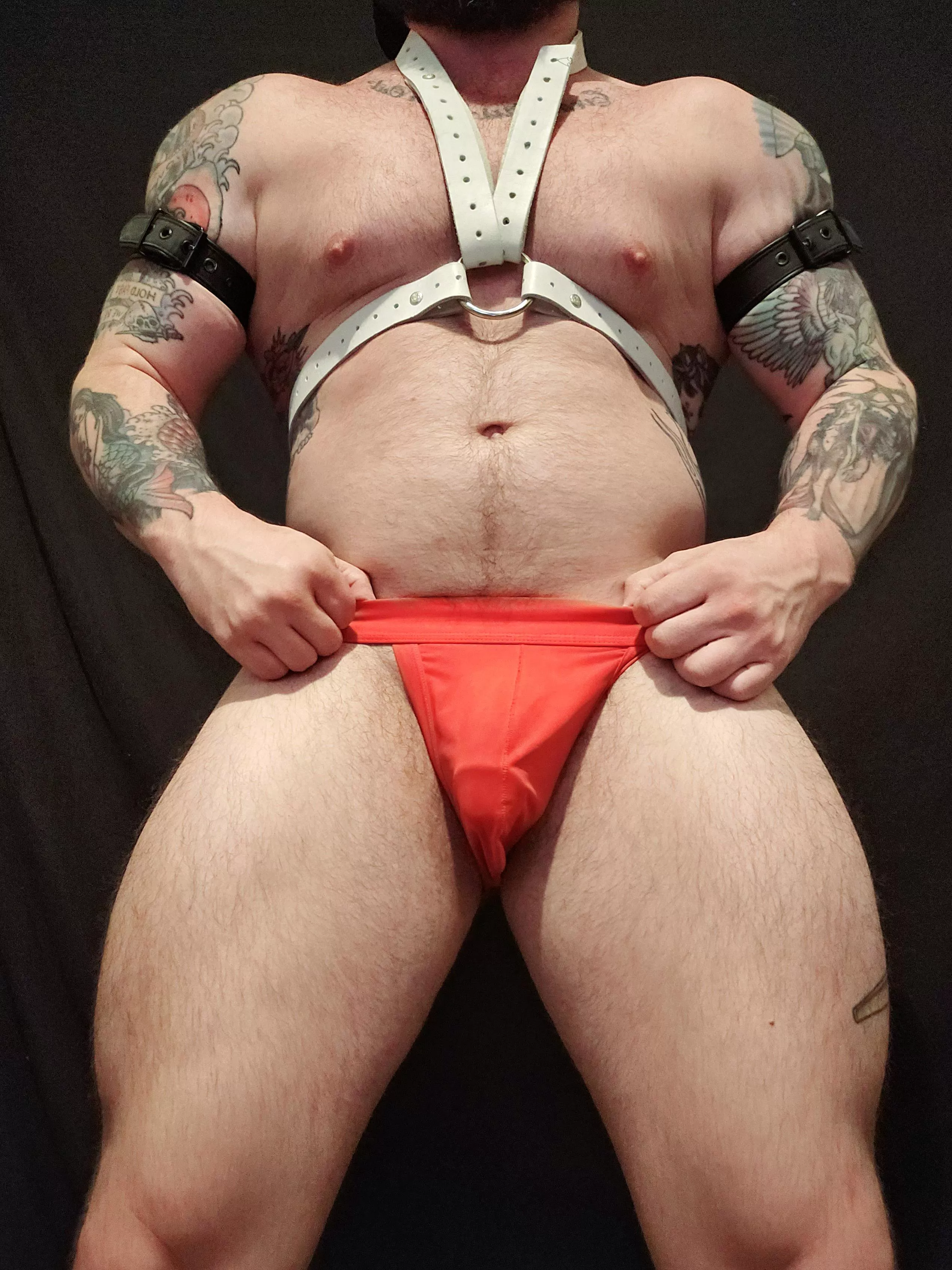 How's the view? posted by underwearempire