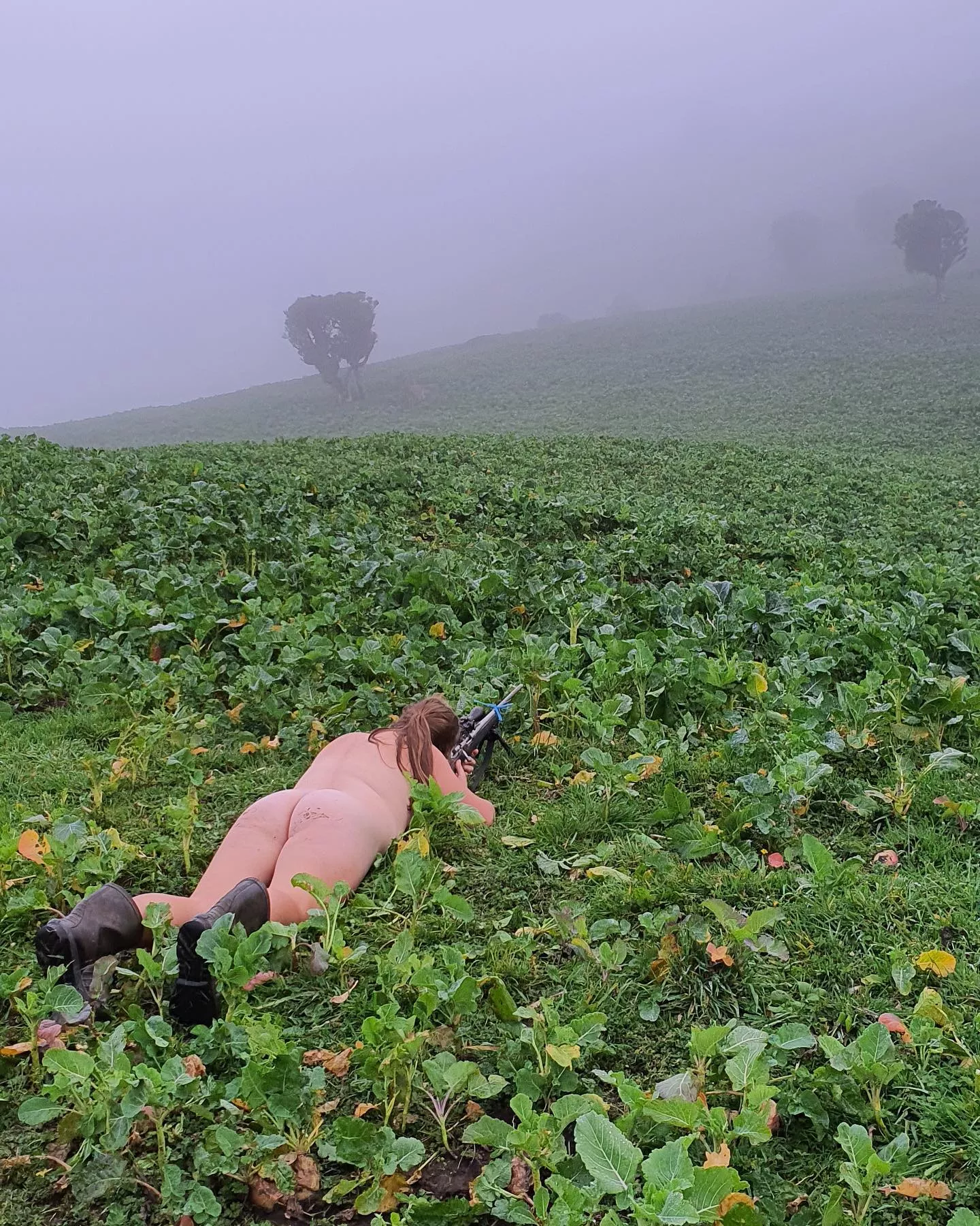 Hunting on the farm posted by Gthang21220