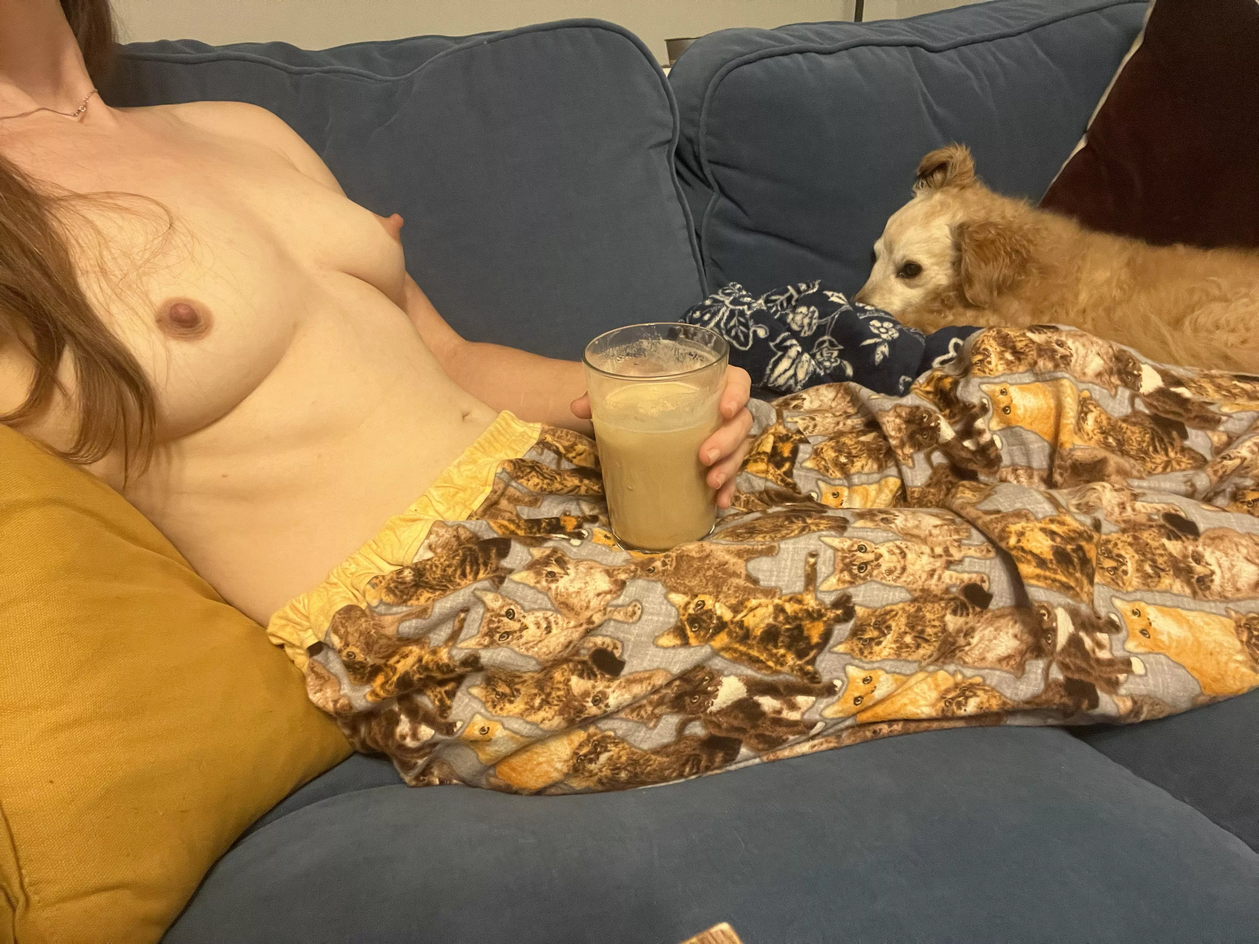 Really just want to stay here on the couch all day posted by play_with_kate