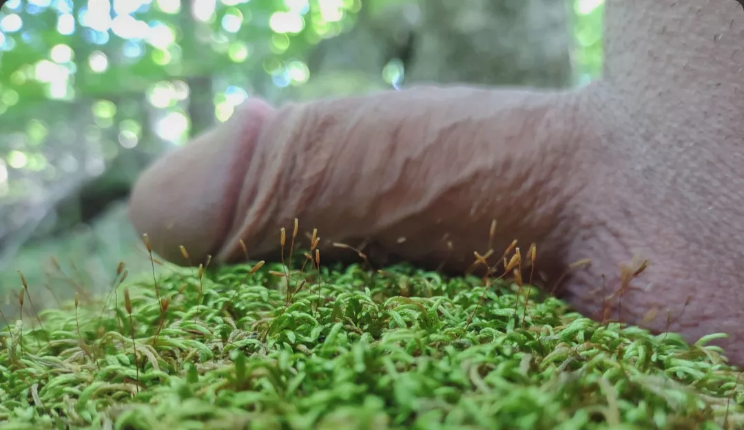 Soft moss creature posted by Maximum-Variety-6351